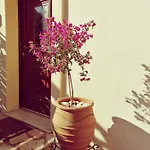 Lorantina Luxury Sea View House With Starlink Wifi Near Barbati & Ipsos Spartylas