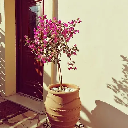 Lorantina Luxury Sea View House With Starlink Wifi Near Barbati & Ipsos Spartylas