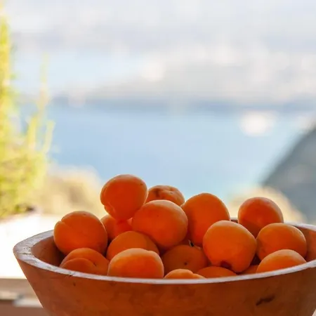 Lorantina Luxury Sea View House Close To Barbati & Ipsos With Starlink Wifi Εξοχικό σπίτι
