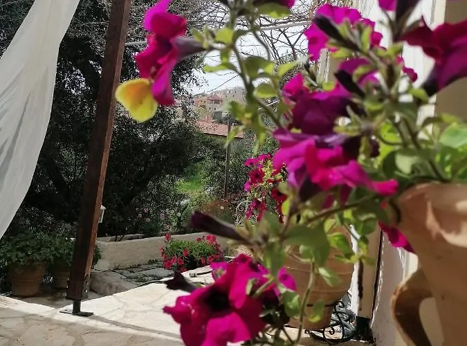 Lorantina Luxury Sea View House With Starlink Wifi Near Barbati & Ipsos Εξοχικό σπίτι *